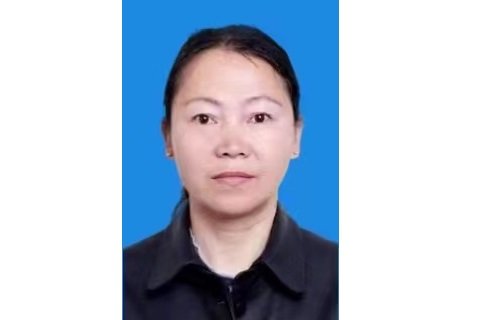65166794 信息技术ob欧宝鲍