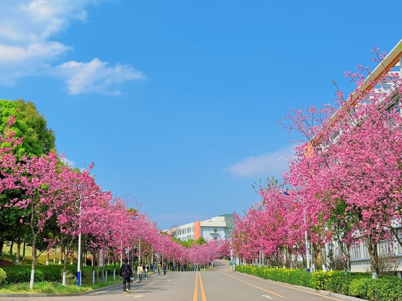 欧宝体育在线登录