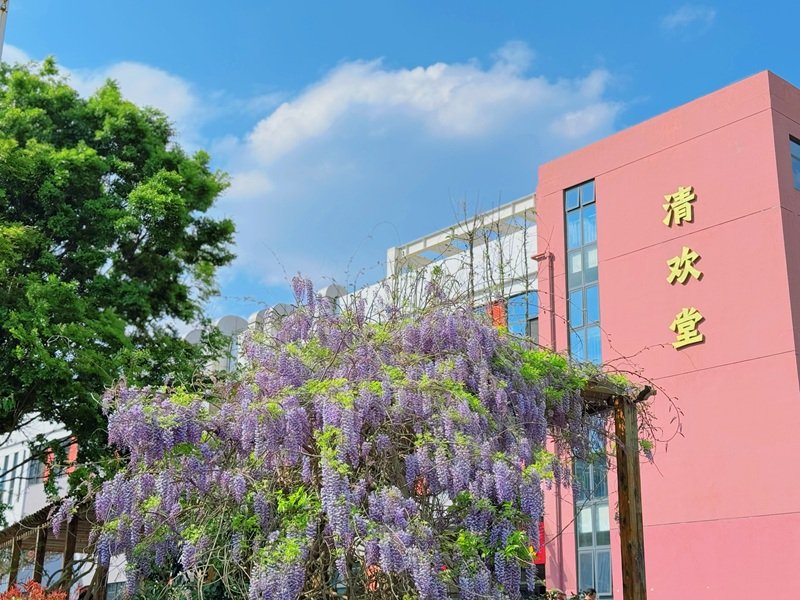 欧宝体育在线登录