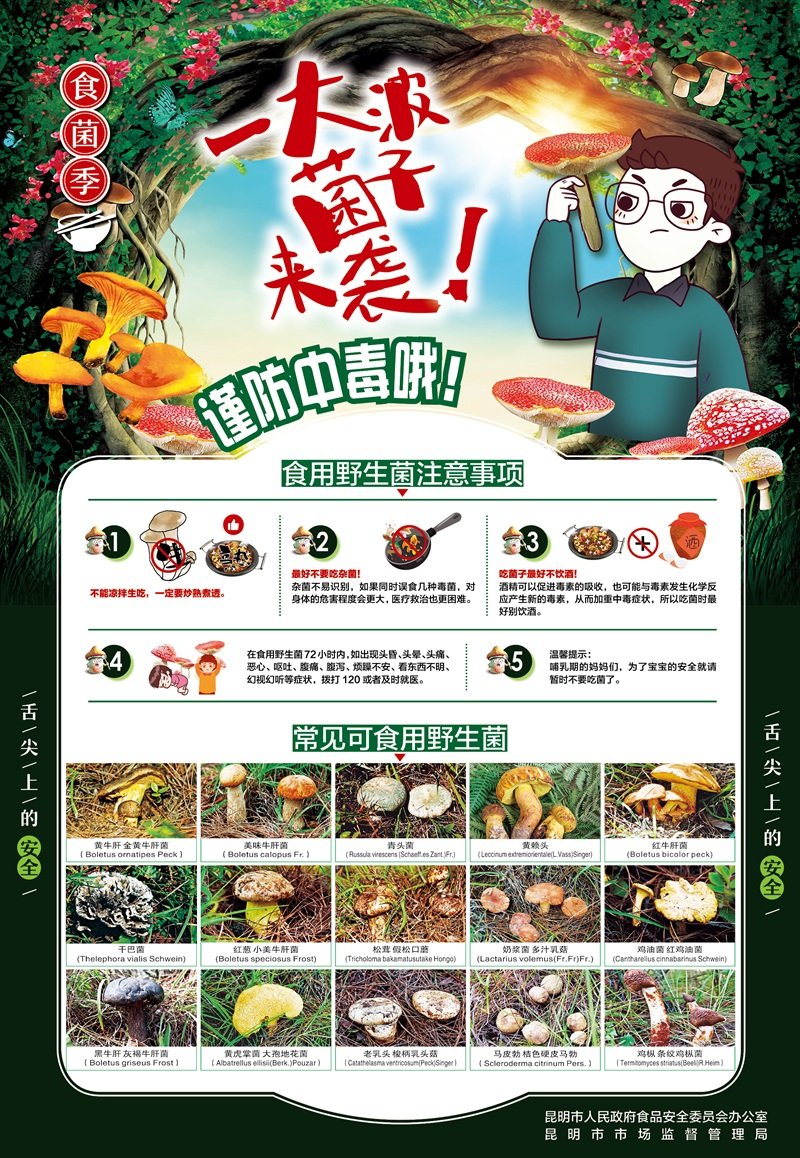 650300 院办